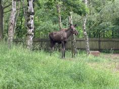 Výlet Zoopark Chomutov